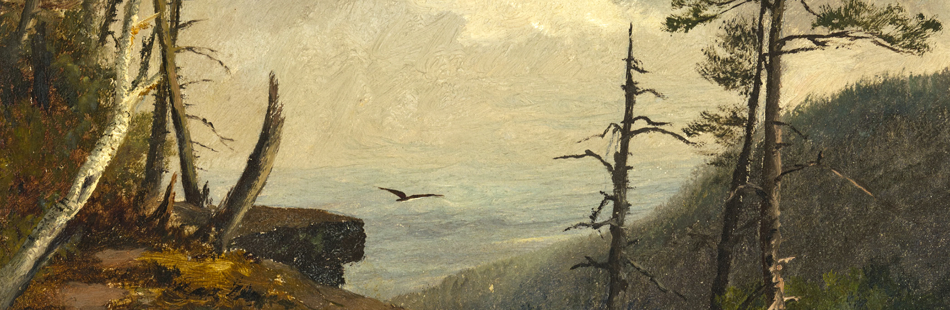 Image Alt text